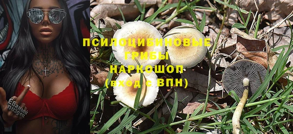 трава Алзамай